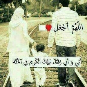 Meet your Posher, Ardo